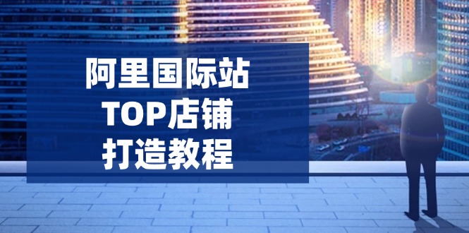 阿里国际站TOP店铺打造教程：涵盖平台到高阶，解决运营难题，提升询盘 - 小毅网创-小毅网创