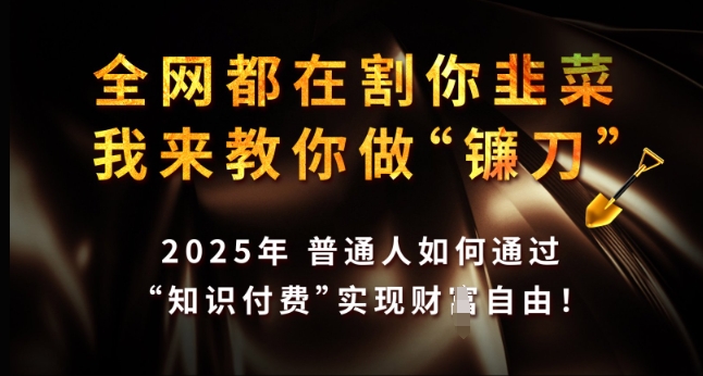 全网都在割你韭菜，我来教你做镰刀，2025年普通人如何通过 知识付费 实现财F自由【揭秘】 - 小毅网创-小毅网创