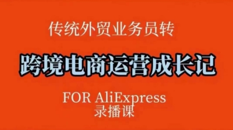 跨境电商速卖通运营课，​运营方法论+后台实操，逻辑清晰 - 小毅网创-小毅网创