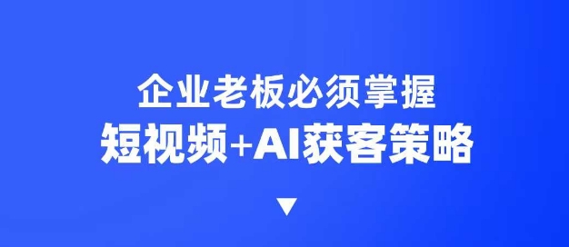 企业短视频AI获客霸屏流量课，6步短视频+AI突围法，3大霸屏抢客策略 - 小毅网创-小毅网创