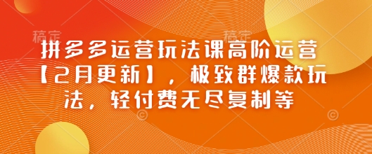 拼多多运营玩法课高阶运营【2月更新】，极致群爆款玩法，轻付费无尽复制等 - 小毅网创-小毅网创