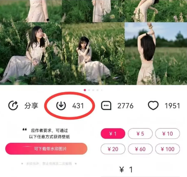 最新图虫搬运项目，收益无上限，利用AI小白也可日赚500+ - 小毅网创-小毅网创