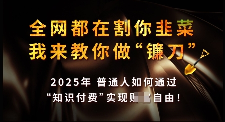 知识付费如何做到月入过W+，2025我来教你做“镰刀”【揭秘】 - 小毅网创-小毅网创
