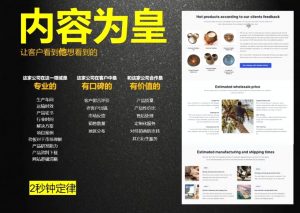 刘老师·外贸询盘增长秘籍从0到1的实战指南-小毅网创