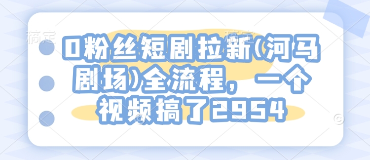 0粉丝短剧拉新(河马剧场)全流程，一个视频搞了2954 - 小毅网创-小毅网创