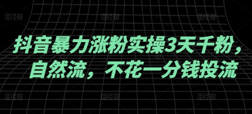 抖音暴力涨粉实操3天千粉，自然流，不花一分钱投流，实操经验分享 - 小毅网创-小毅网创