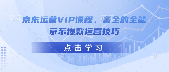 京东运营VIP课程，最全的全能京东爆款运营技巧 - 小毅网创-小毅网创
