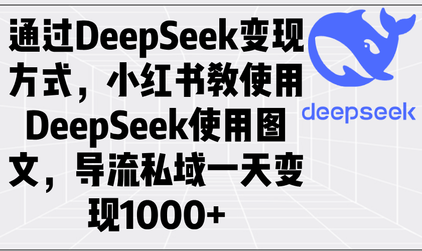 通过DeepSeek变现方式，小红书教使用DeepSeek图文，导流私域一天变现1000+ - 小毅网创-小毅网创