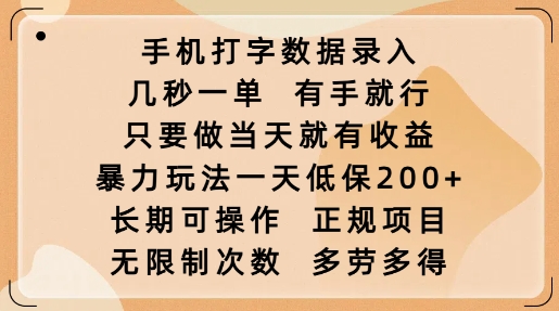 手机打字数据录入，几秒一单，有手就行，只要做当天就有收益，暴力玩法一天低保2张 - 小毅网创-小毅网创