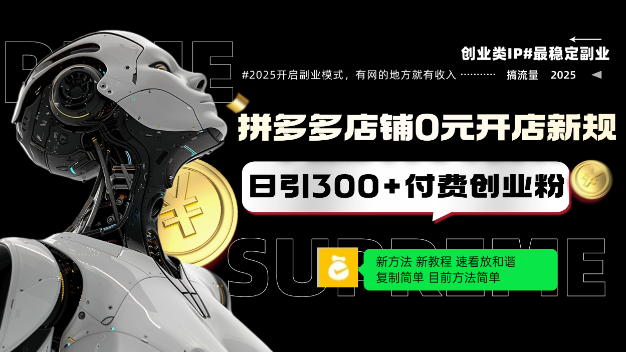 拼多多店铺0元开店新规，日引300+付费创业粉，目前方法简单复制粘贴可矩阵 - 小毅网创-小毅网创