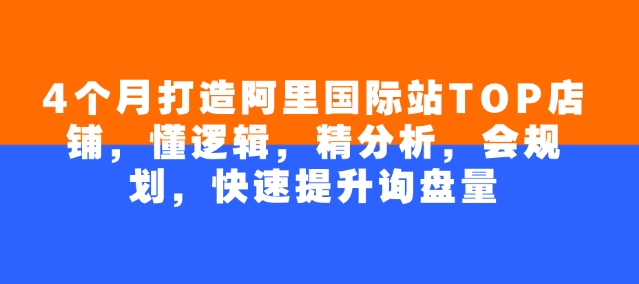 4个月打造阿里国际站TOP店铺，懂逻辑，精分析，会规划，快速提升询盘量 - 小毅网创-小毅网创