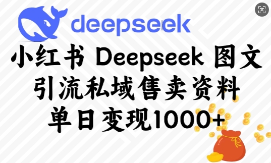 小红书Deepseek图文引流私域售卖资料，单日变现多张 - 小毅网创-小毅网创