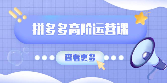拼多多高阶运营课：极致群爆款玩法，轻付费无尽复制，打造单品爆款之路 - 小毅网创-小毅网创