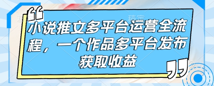 小说推文多平台运营全流程，一个作品多平台发布获取收益 - 小毅网创-小毅网创