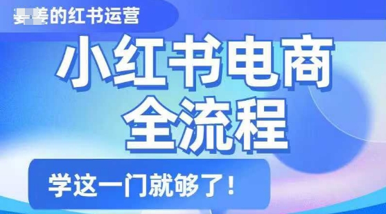 小红书电商全流程，精简易懂，从入门到精通，学这一门就够了 - 小毅网创-小毅网创