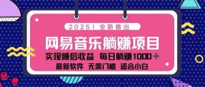 2025最新网易云躺赚项目 每天几分钟 轻松3万+-小毅网创