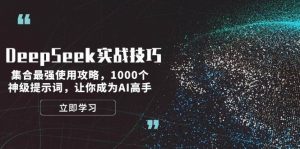 DeepSeek实战技巧：集合最强使用攻略，1000个神级提示词，让你成为AI高手-小毅网创