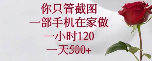 你只管截图，一部手机在家做，一小时120.一天5张【揭秘】 - 小毅网创-小毅网创