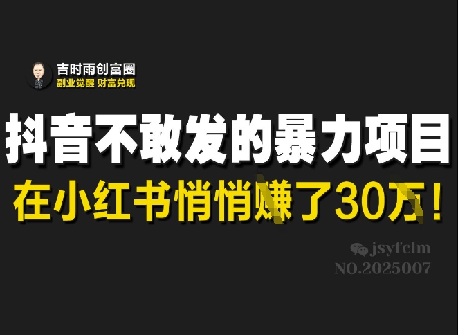 抖音不敢发的暴利项目，在小红书悄悄挣了30W - 小毅网创-小毅网创