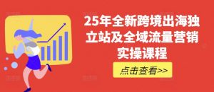 25年全新跨境出海独立站及全域流量营销实操课程，跨境电商独立站TIKTOK全域营销普货特货玩法大全-小毅网创