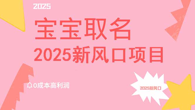 2025新风口项目宝宝取名，0成本高利润，附保姆级教程，月入过万不是梦 - 小毅网创-小毅网创