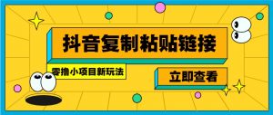 零撸小项目，新玩法，抖音复制链接0.07一条，20秒一条，无限制。-小毅网创