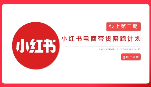 2025小红书虚拟电商实战课，从0到1打造无货源店铺，AI+爆款笔记轻松变现 - 小毅网创-小毅网创