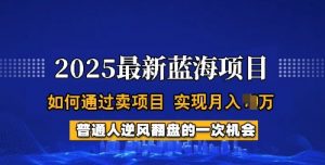 2025蓝海项目，普通人如何通过卖项目，实现月入过W，全过程【揭秘】-小毅网创