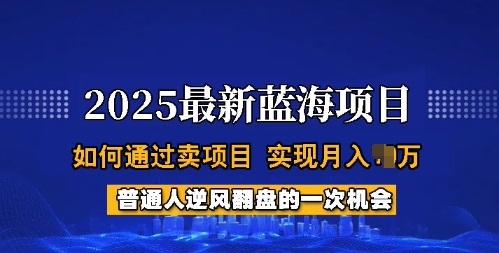 2025蓝海项目，普通人如何通过卖项目，实现月入过W，全过程【揭秘】 - 小毅网创-小毅网创