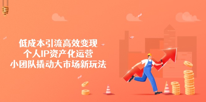 低成本引流高效变现，个人IP资产化运营，小团队撬动大市场新玩法 - 小毅网创-小毅网创