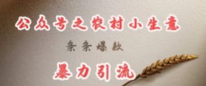deepseek写农村小项目，条条爆款，暴力引流-小毅网创