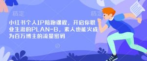 小红书个人IP陪跑课程，开启你职业生涯的PLAN-B，素人也能火成为百万博主的流量密码-小毅网创