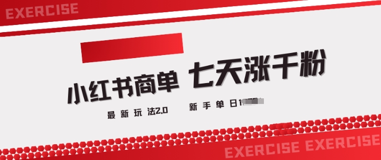 小红书商单2.0最新玩法，3天涨千粉单日变现多张 - 小毅网创-小毅网创
