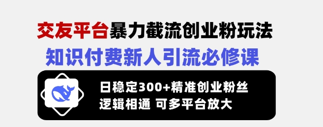 交友平台暴力截流创业粉玩法，知识付费新人引流必修课，日稳定300+精准创业粉丝，逻辑相通可多平台放大 - 小毅网创-小毅网创