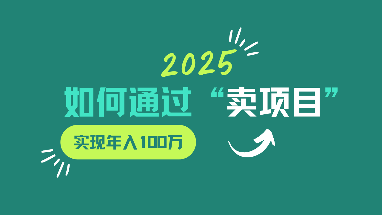 2025年如何通过“卖项目”实现年入100w - 小毅网创-小毅网创