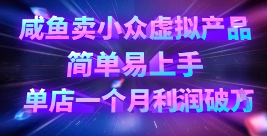 咸鱼卖小众虚拟产品，简单易上手，单店一个月利润破W - 小毅网创-小毅网创