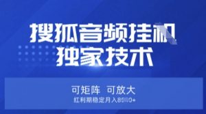 【搜狐音频挂G】独家技术，可矩阵可放大，红利期稳定月入8k【揭秘】-小毅网创