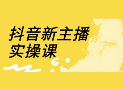 抖音新主播实操课，直播间流量运营线上实操课(18节) - 小毅网创-小毅网创