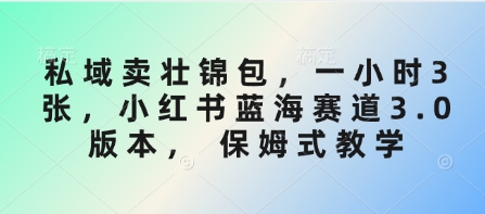 私域卖壮锦包，一小时3张，小红书蓝海赛道3.0版本， 保姆式教学 - 小毅网创-小毅网创