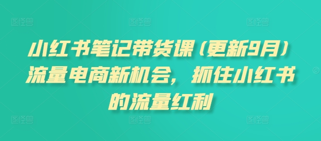 小红书笔记带货课(更新25年3月)流量电商新机会，抓住小红书的流量红利 - 小毅网创-小毅网创