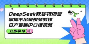 DeepSeek获客特训营：掌握不出镜视频制作，日产百条IP口播视频-小毅网创