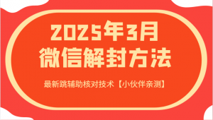 2025年3月微信解封方法 最新跳辅助核对技术【小伙伴亲测】-小毅网创