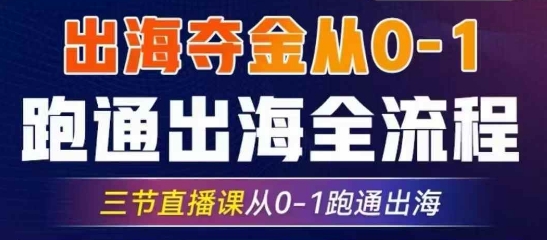2025出海夺金从0-1跑通出海全流程，三节直播课从0-1跑通出海，教你用AI跑通全流程 - 小毅网创-小毅网创