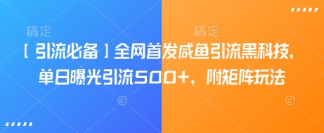【引流必备】全网首发咸鱼引流黑科技，单日曝光引流500+，附矩阵玩法【揭秘】 - 小毅网创-小毅网创
