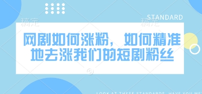 网剧如何涨粉，如何精准地去涨我们的短剧粉丝 - 小毅网创-小毅网创
