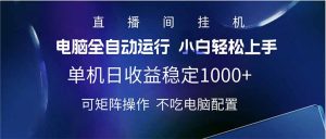 2025直播间最新玩法单机日入1000+ 全自动运行 可矩阵操作-小毅网创