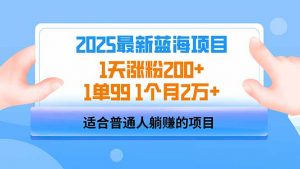 2025蓝海项目 1天涨粉200+ 1单99 1个月2万+-小毅网创