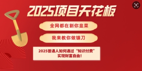 2025项目天花板普通人如何通过知识付费，实现财F自由【揭秘】 - 小毅网创-小毅网创