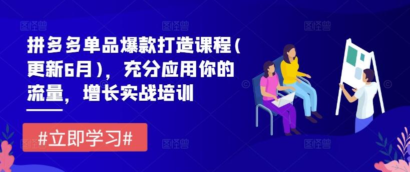 拼多多单品爆款打造课程(更新6月)，充分应用你的流量，增长实战培训 - 小毅网创-小毅网创