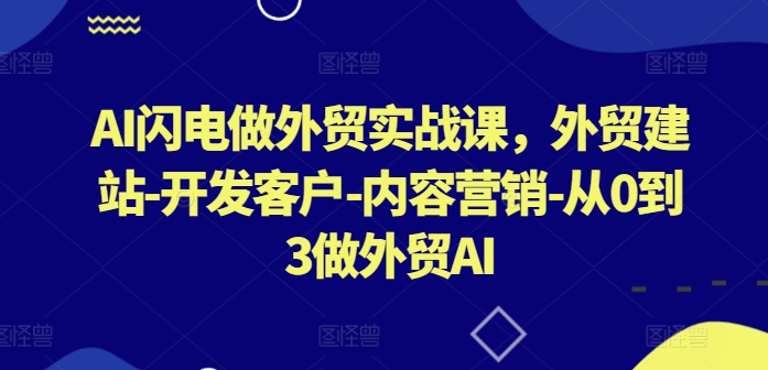 AI闪电做外贸实战课，​外贸建站-开发客户-内容营销-从0到3做外贸AI(更新) - 小毅网创-小毅网创